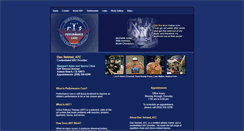 Desktop Screenshot of danselstad.com